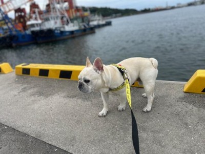 image3_3.jpeg